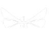 Logo for SentX